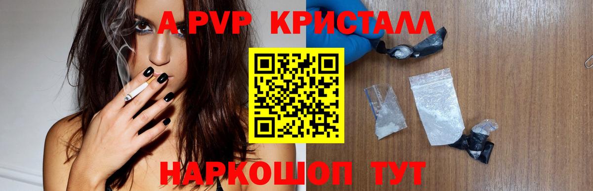 Alfa_PVP СК Будённовск