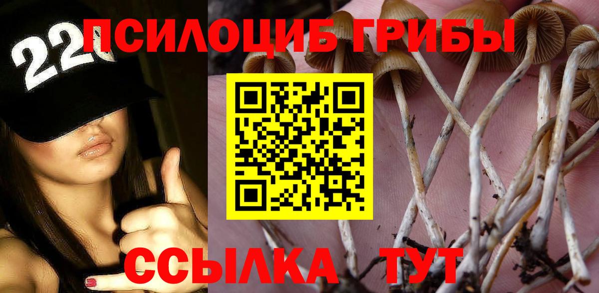 Галлюциногенные грибы мицелий Будённовск