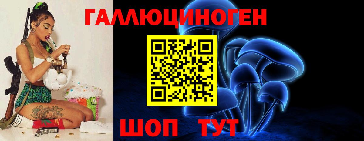 закладка  Вход с VPN  Галлюциногенные грибы GOLDEN TEACHER  Будённовск  Галлюциногенные грибы Magic Shrooms 